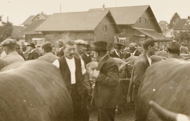 Datei:161 Viehschau Hinwil undatiert.jpg