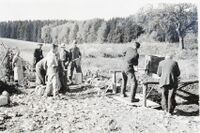 Maikäfersammlung, 1939