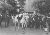 Freilichtspiele 1946 Die Strafe wird verlesen