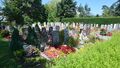 Grabfeld auf dem Hinwiler Friedhof