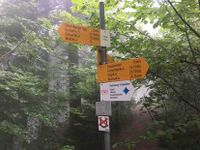 Wegweiser auf dem Allmen, 2021