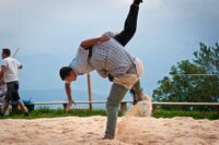 Bachtelschwinget, 2012