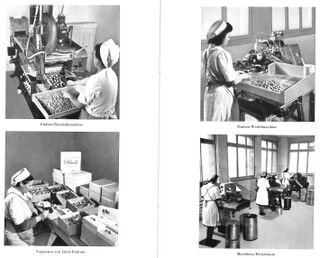 Firma Schätti, Produktion, 1948