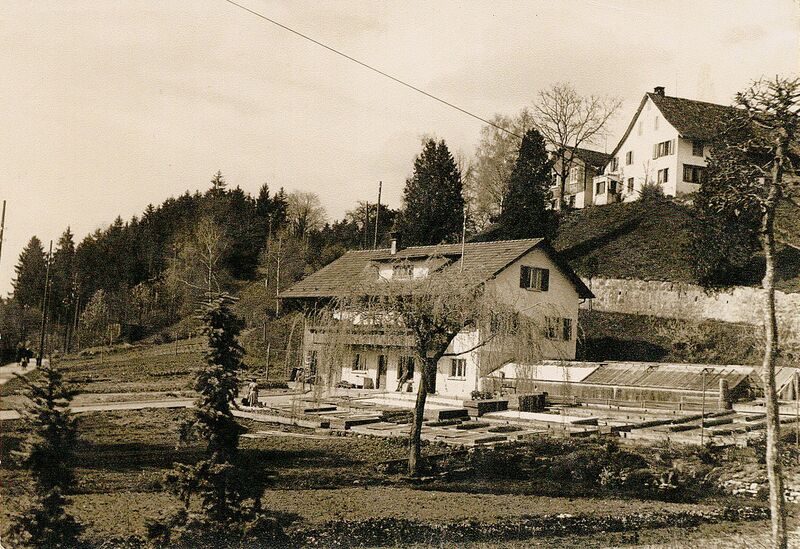 Datei:19480000 Gärtnerei Muggli mit Wohnhaus.jpg