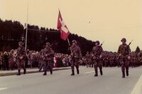 Infanterie im Vorbeimarsch, 1976