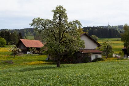Eggstrasse 1.2