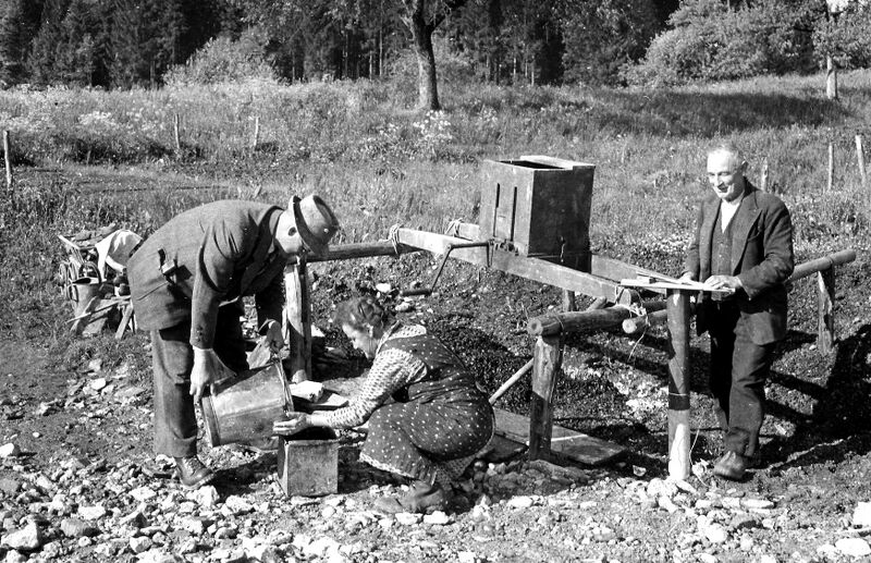 Datei:19390000 Maikäfersammlung 1.jpeg