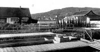 Gärtnerei Reber, um 1944