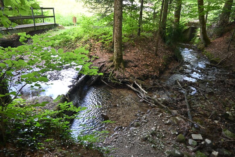 Datei:20260721 Schufelberg-Niderhus-Wissengubel (63).JPG