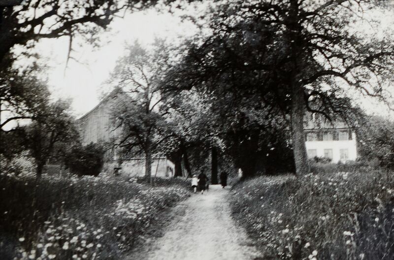 Datei:072 Weinhalde, Köng.jpg