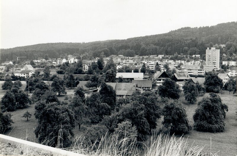 Datei:19790000 Wihalde-Quartier Foto Schnezler.jpg
