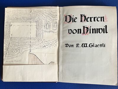 Foto des Mediums (Einband) von „Die Herren von Hinwil“