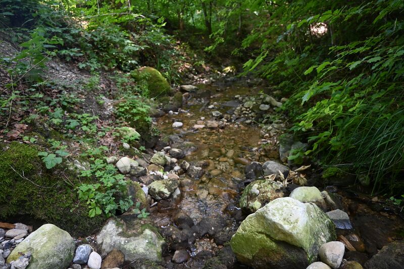 Datei:20260721 Schufelberg-Niderhus-Wissengubel (5).JPG