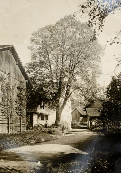 Datei:19290000 Unterdorf Hinwil Köng.jpg