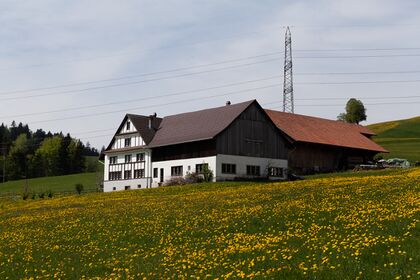 Eggstrasse 100