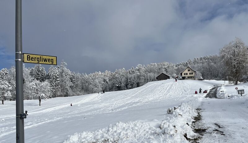 Datei:20260111 Bergliweg 4 Hinwil Schnee.jpeg