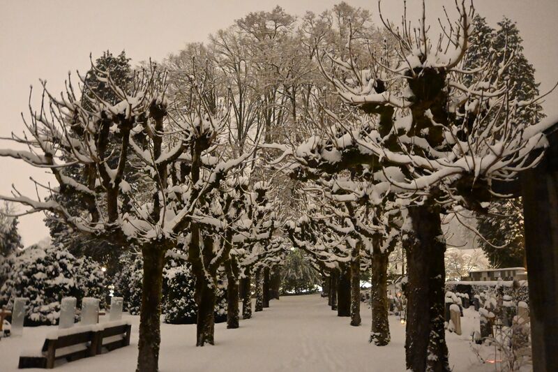 Datei:20260110 Hinwil Dorf (90).JPG