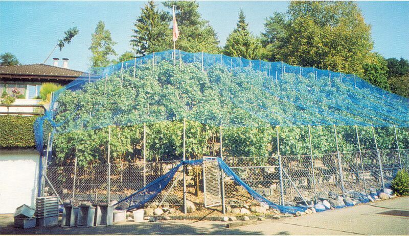 Datei:20030900 Rebberg Frauenfelder Hinwil.jpg