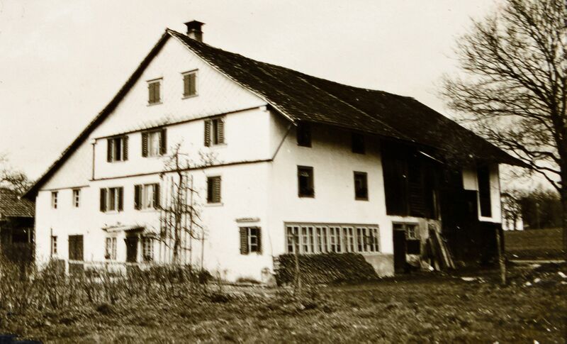Datei:287 Wiesenstrasse 5 Hinwil.jpg