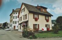 Alte Zihlstrasse 3 von Süden, 2008