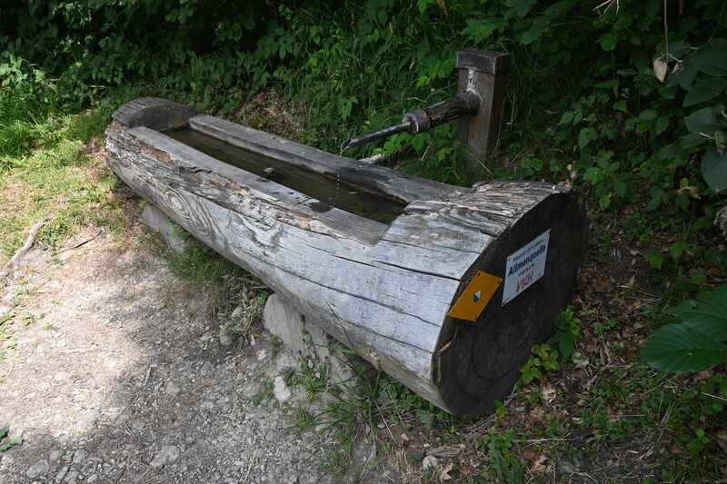 Datei:20260725 Rundweg Girenbad-Allmann-Bachtel (56).JPG