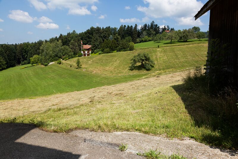 Datei:Bild-Hinwil-Flurweg-56-Serie-297.jpg