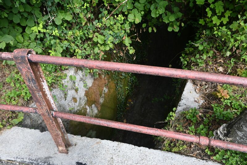 Datei:20250800 Bachtel Orn Unterbach (79).JPG