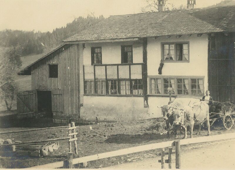 Datei:Schaugenstrasse 9 Hinwil, undatiert.jpg