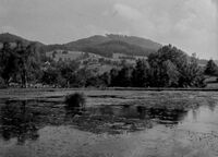 Weiher im Girenbad, ca. 1940