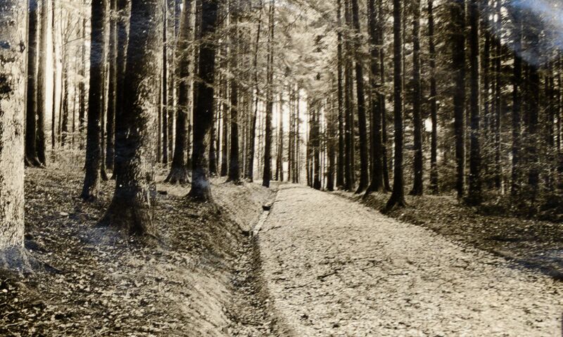 Datei:100 Fischbachholz 2.jpg