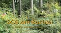 Vorschaubild der Version vom 16:33, 11. Okt. 2026