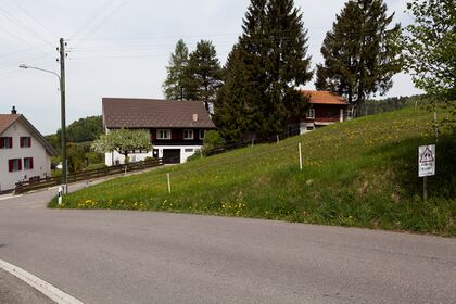 Schaugenstrasse 1