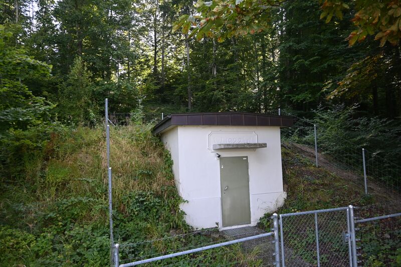 Datei:20250820 Schaugen Moos Bernegg (13).JPG
