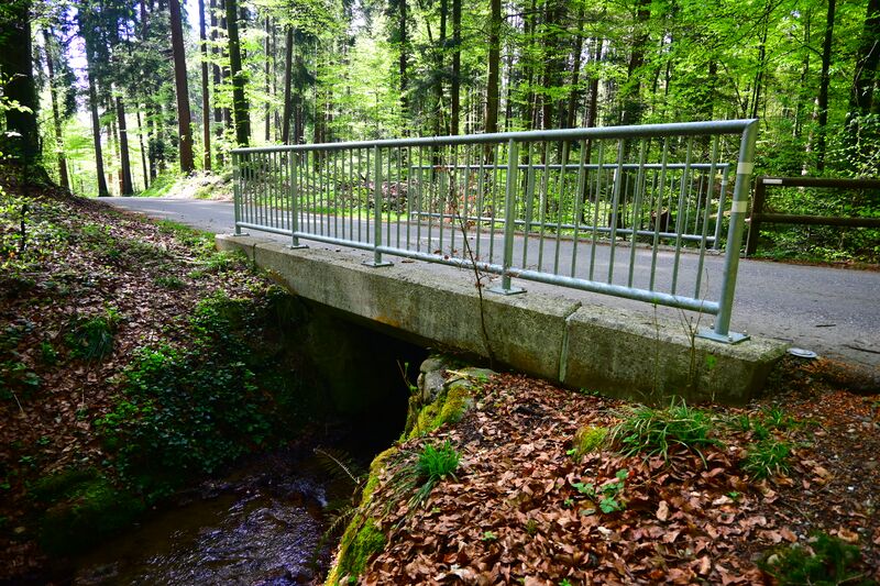 Datei:20260418 Hinwil (124).JPG