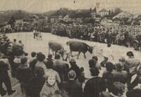 Regionale Leistungsschau, Gemeindeplatz Hinwil, 1968