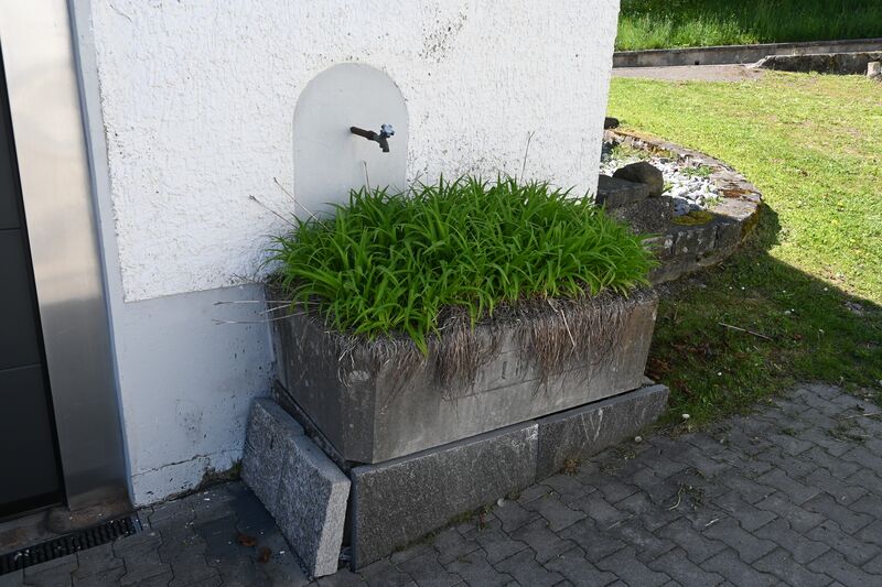 Datei:20260418 Hinwil (43).JPG