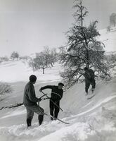 Bau der Allmenkurve, 1951