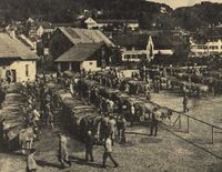 Bezirksviehschau Gemeindeplatz Hinwil,  1967