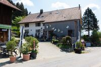 Im Chopfholz 8