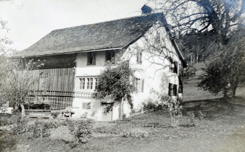 Datei:304 Nübruchstrasse 4 Ringwil.jpg