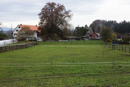 Breitacherstrasse 6