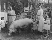 Familie Wolf, Allmenhof, um 1920