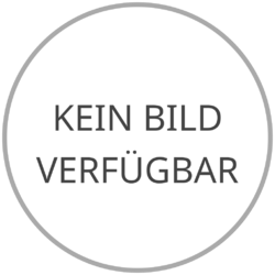 Platzhalter für Foto oder Abbildung des Sammlungsobjekts