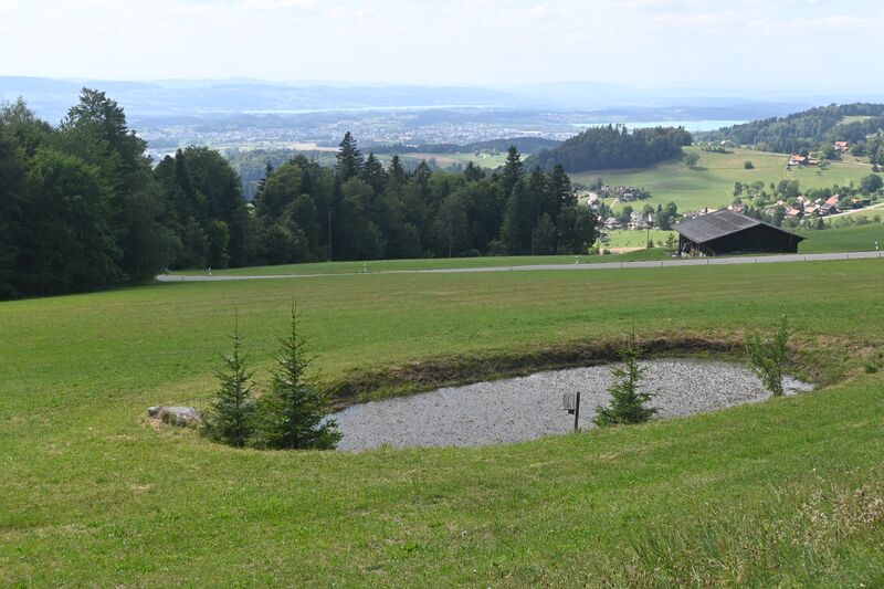 Datei:20260721 Schufelberg-Niderhus-Wissengubel (85).JPG
