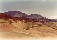 Trüdetshalde vor dem Bau der Badi, vor 1961