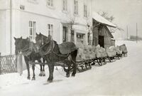 Dürntnerstrasse 80 Hinwil 1918