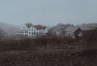 Die Anstalt Ringwil, um 1910