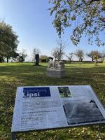 Park bei Plattenstrasse 10, 2024