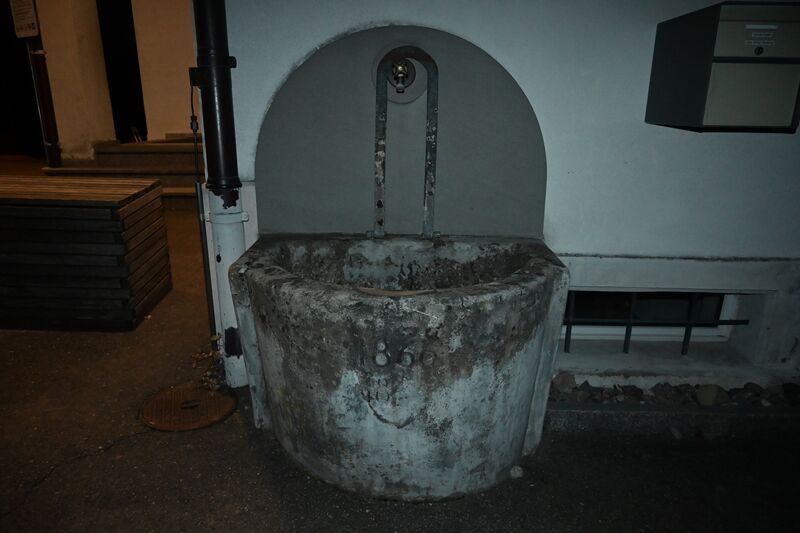 Datei:20251230 Unterholz (5).JPG