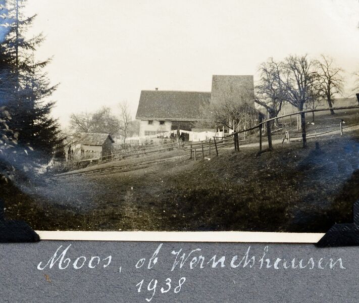 Datei:238 Moos ob Wernetshausen.jpg